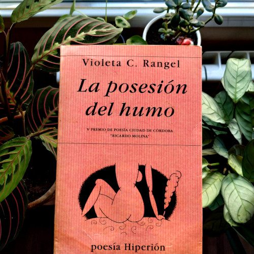 La posesión del humo / Violeta C. Rangel