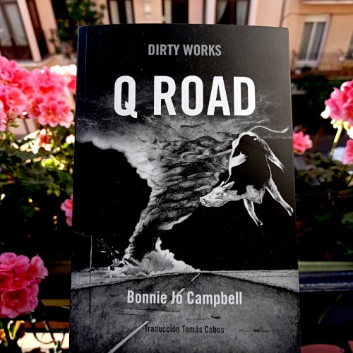 Q Road / Bonnie Jo Campbell