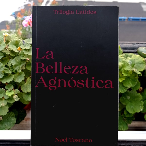 Cubierta de «La Belleza Agnóstica», de Noel Toscano. Autoeditado, impreso en la clandestinidad, 2024.