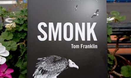 Smonk - Tom Franklin. Disrty Works.